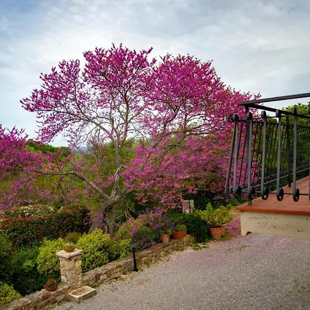 Alloggio per agriturismo La Sede Di Carlo Saturnia